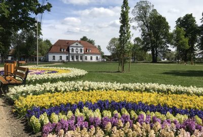 img 2820 400x270 - Rewitalizacja Parku w Żelazkowie