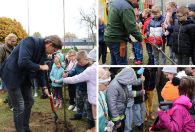 Kalisz 400x270 - Warsztaty ekologiczne i akcje sadzenia drzew dla dzieci i młodzieży na terenie AKO