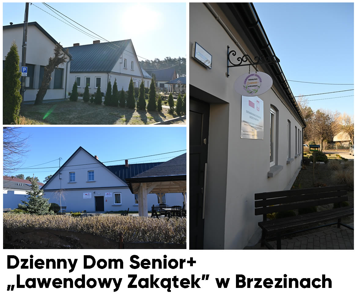 Plebiscyt "Miejsce przyjazne seniorom w 2025 roku w Aglomeracji Kalisko-Ostrowskiej" - prezentacja miejsc DZD Senior Plus Lawendowy Zakatek Brzeziny Plebiscyt 2025 - Plebiscyt "Miejsce przyjazne seniorom w 2025 roku w Aglomeracji Kalisko-Ostrowskiej" - prezentacja miejsc