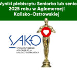 Plakat Plebiscyt Seniorka Senior AKO 2025 150x150 - Wyniki plebiscytu „Miejsce przyjazne seniorom w 2025 roku w Aglomeracji Kalisko-Ostrowskiej”