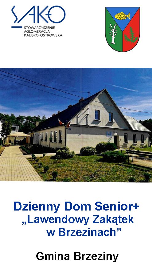 m1 brzeziny - Plebiscyt "Miejsce przyjazne seniorom w 2026 roku w Aglomeracji Kalisko-Ostrowskiej" - prezentacja miejsc przyjaznym seniorom
